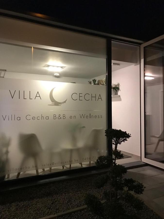 Villa Cecha B&B &Wellness Остенде Екстер'єр фото